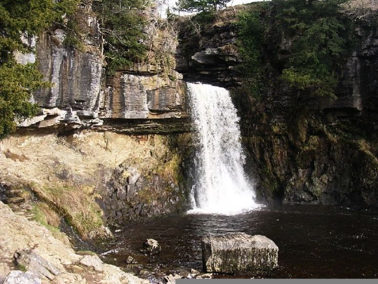 10. Thornton Force
